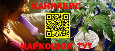 прущие грибы Славгород