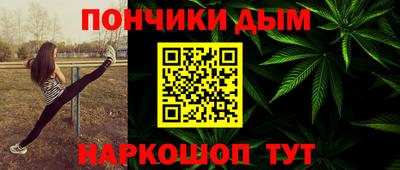 дурь Сланцы
