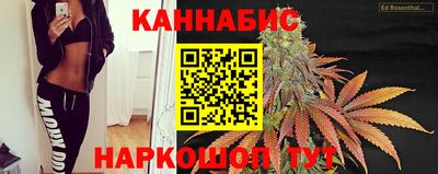 дурь Сланцы