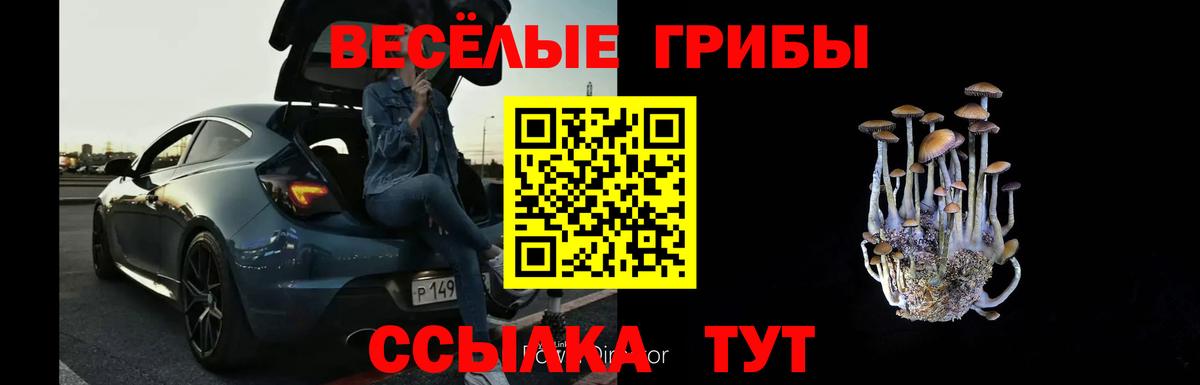 Галлюциногенные грибы Cubensis Сибай